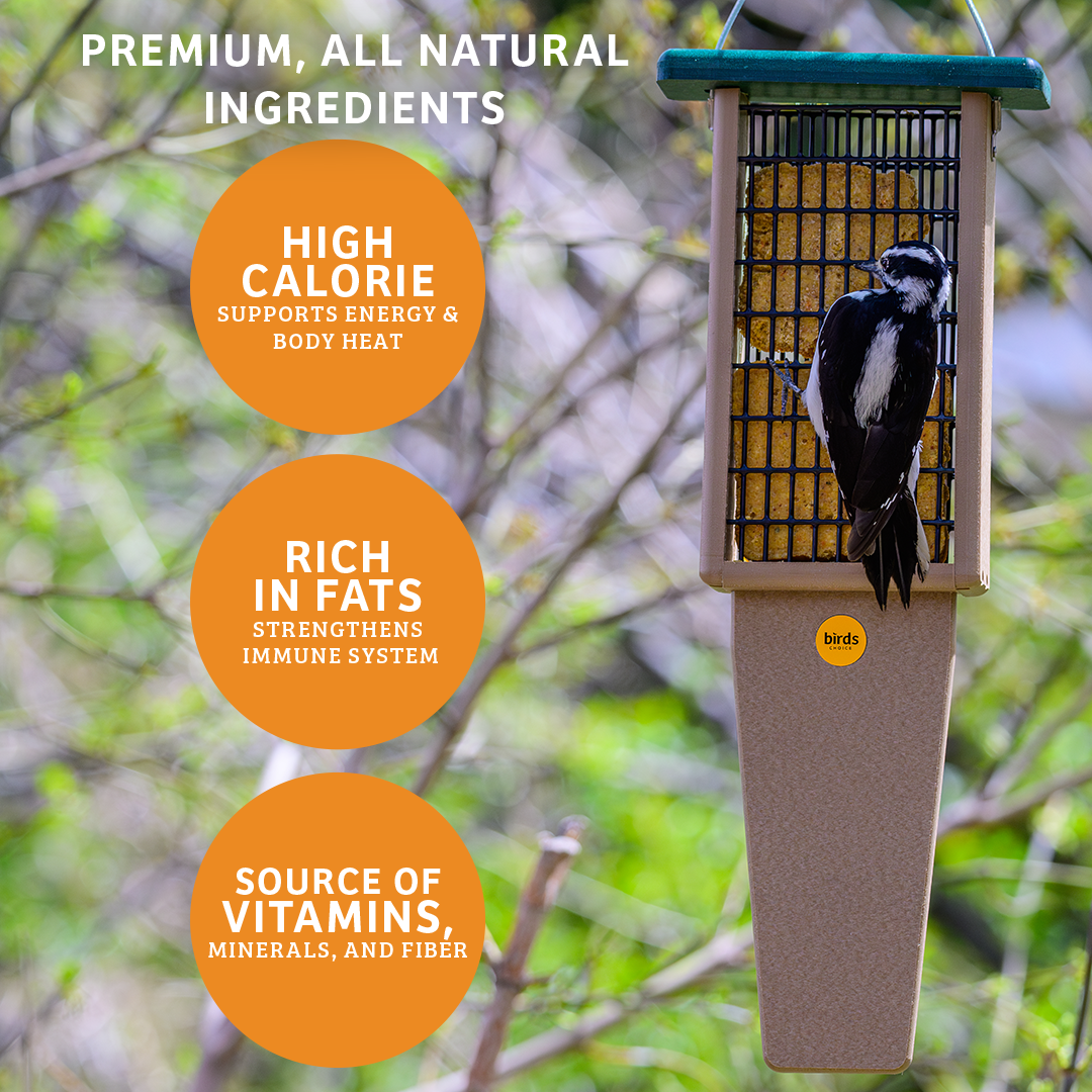 Hot Red Pepper No Melt Suet - 12 Pack