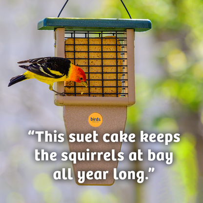 Hot Red Pepper No Melt Suet - 12 Pack