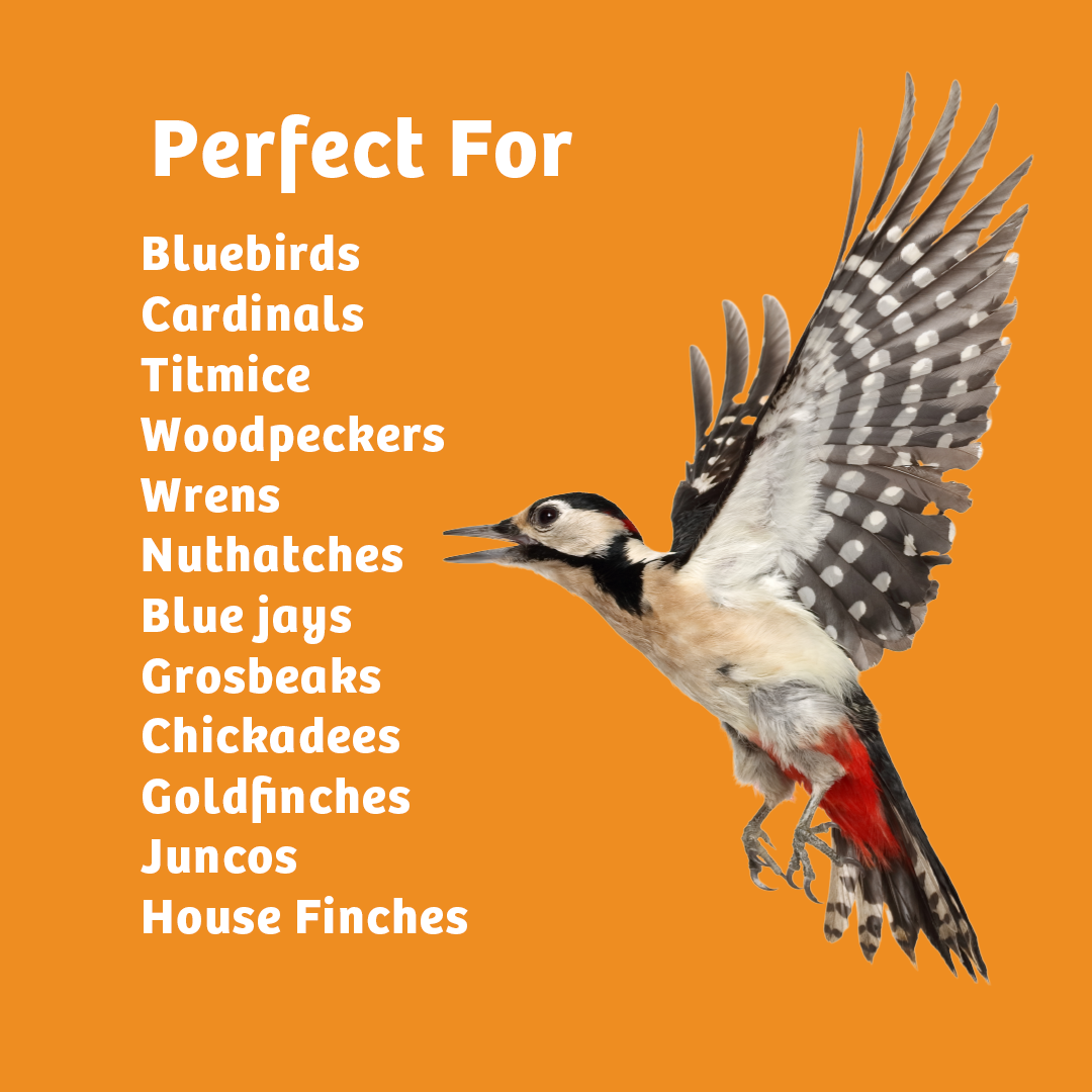 Hot Red Pepper No Melt Suet - 12 Pack