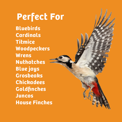 Hot Red Pepper No Melt Suet - 12 Pack