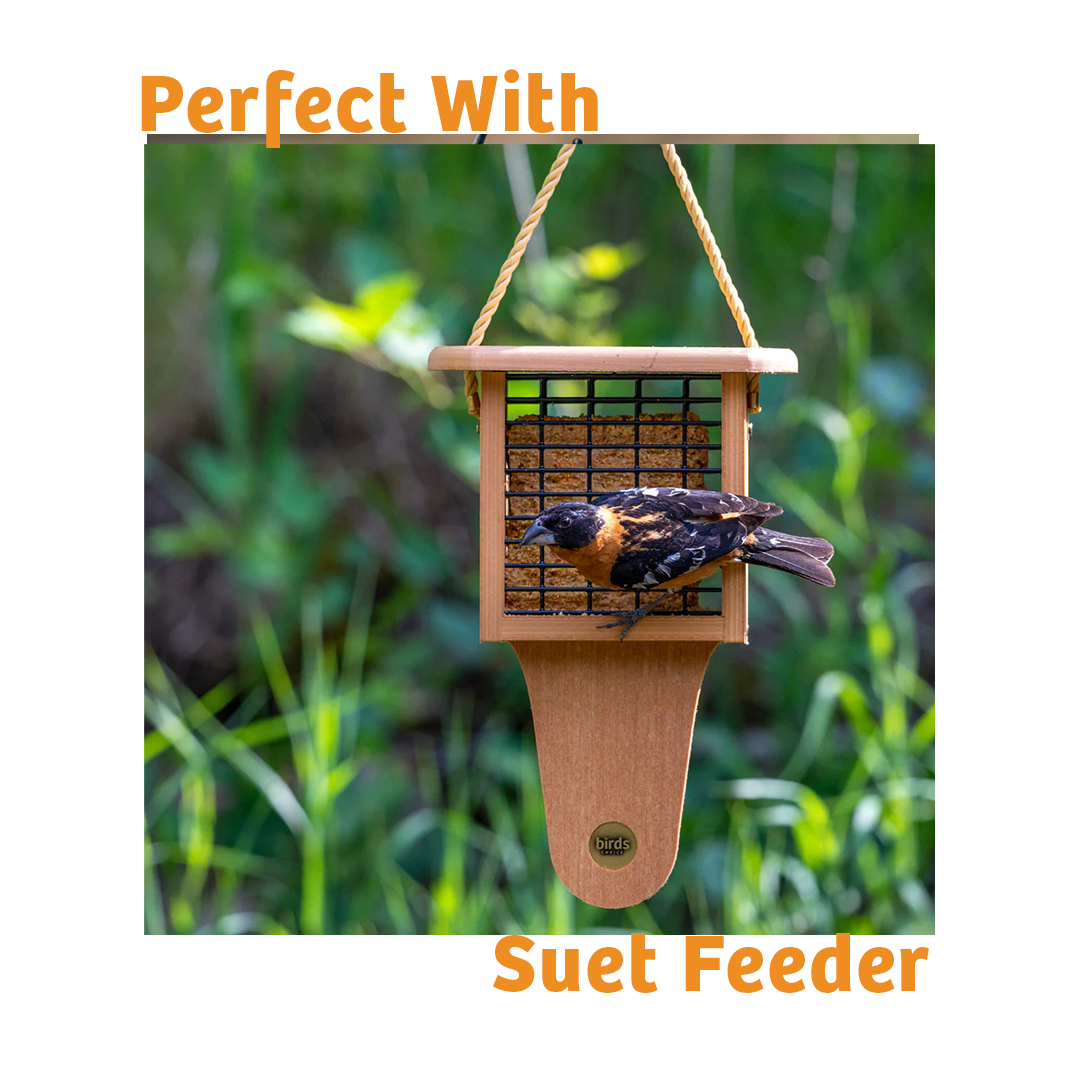 Hot Red Pepper No Melt Suet - 12 Pack