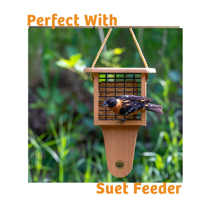 Hot Red Pepper No Melt Suet - 12 Pack