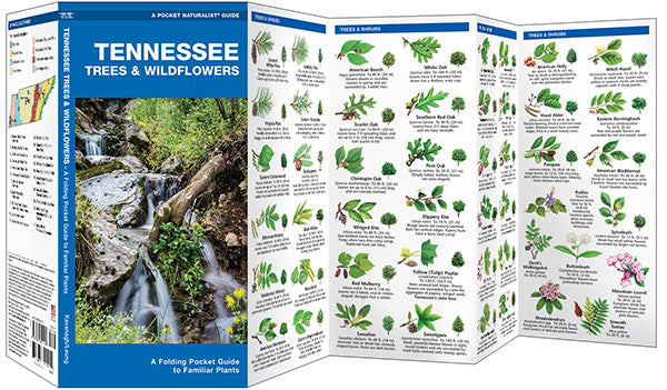 Tennessee Trees & Wildflowers Pocket Guide