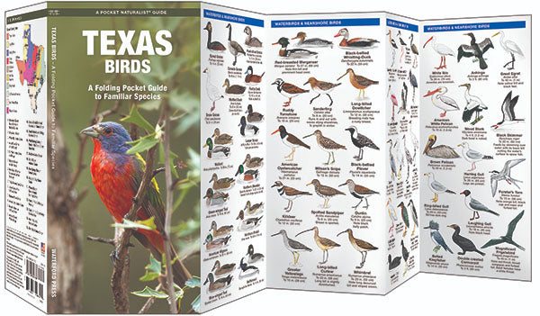 Texas Birds Pocket Guide