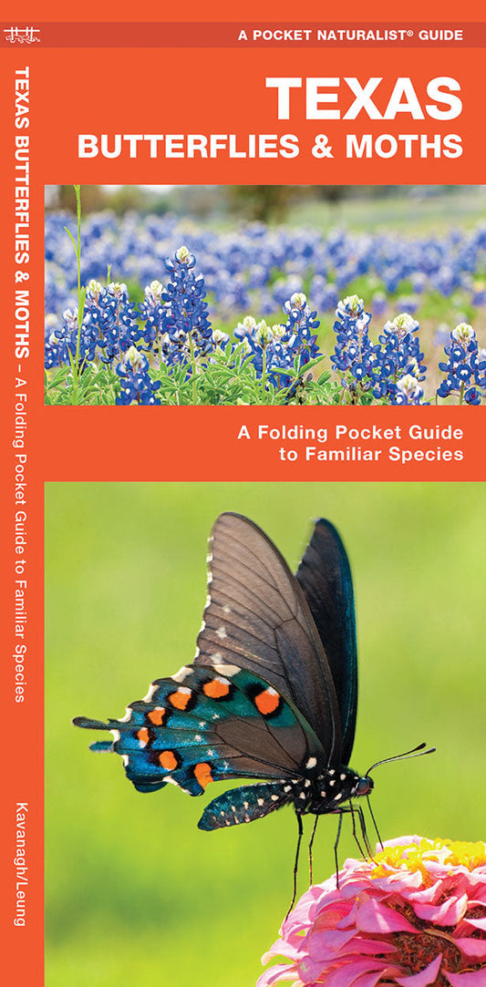 Texas Butterflies & Moths Pocket Guide