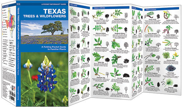 Texas Trees & Wildflowers Pocket Guide