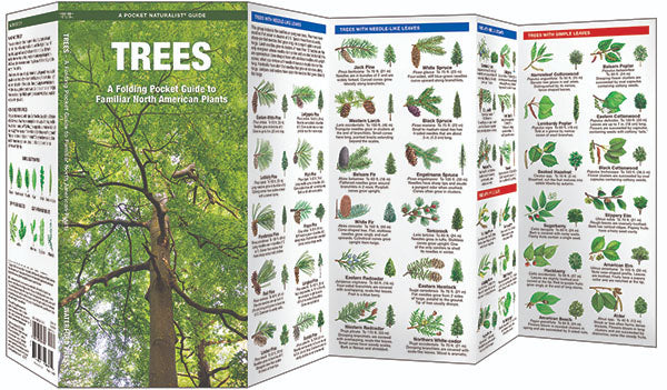 Trees Pocket Guide