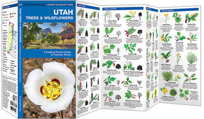 Utah Trees & Wildflowers Pocket Guide