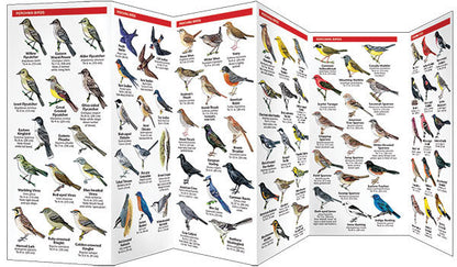 Vermont Birds Pocket Guide