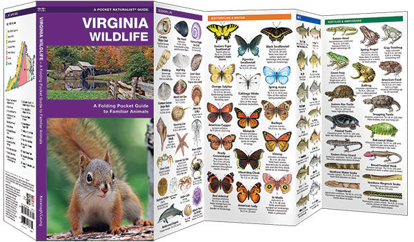 Virginia Wildlife Pocket Guide