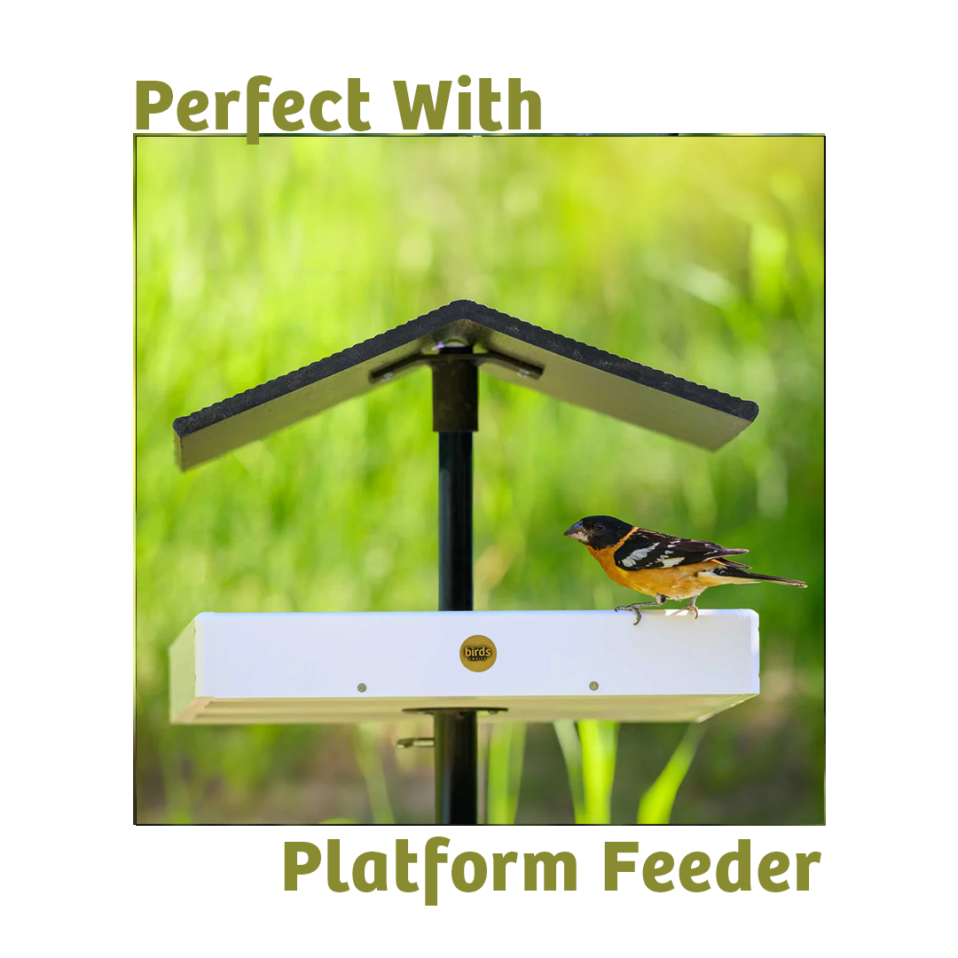 Waste-Not Wild Bird Food - 5 lbs.