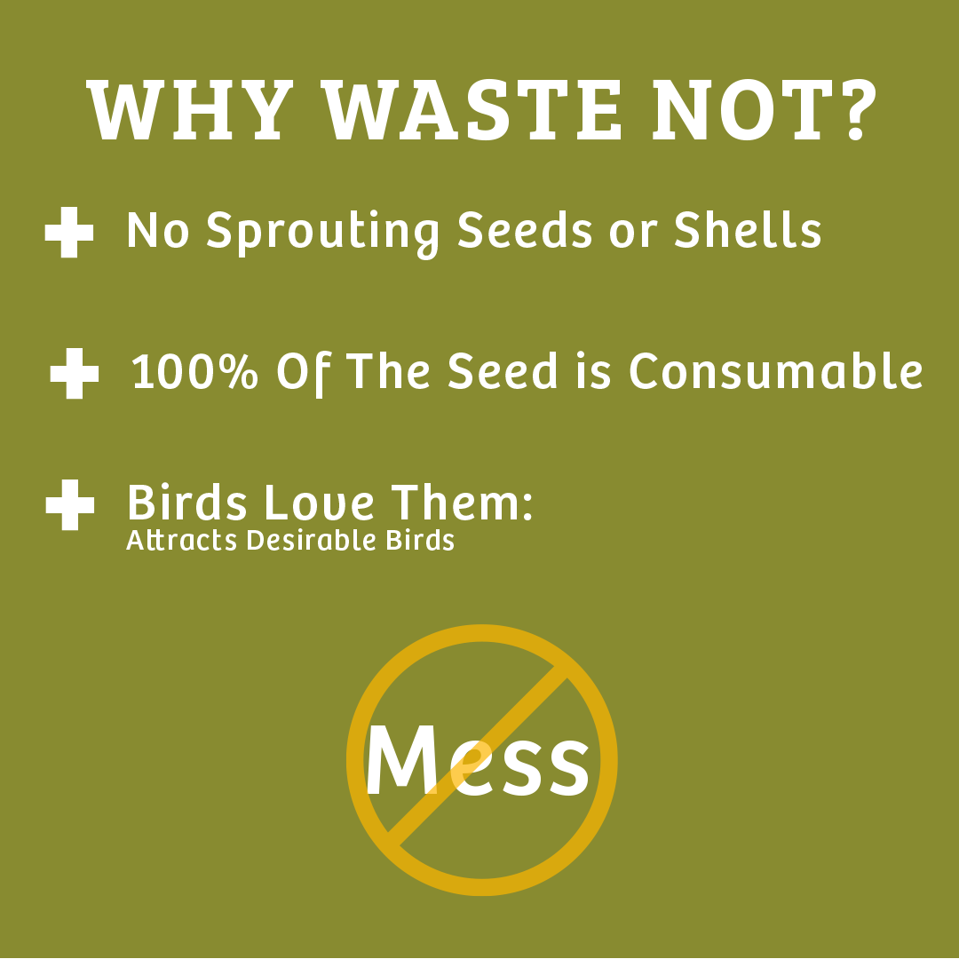 Waste-Not Wild Bird Food - 10 lbs. - Birds Choice