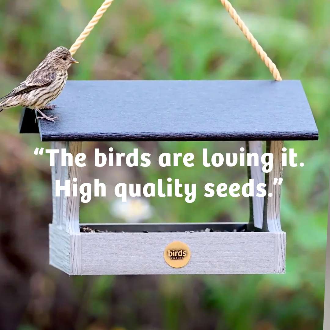 Waste-Not Wild Bird Food - 5 lbs.