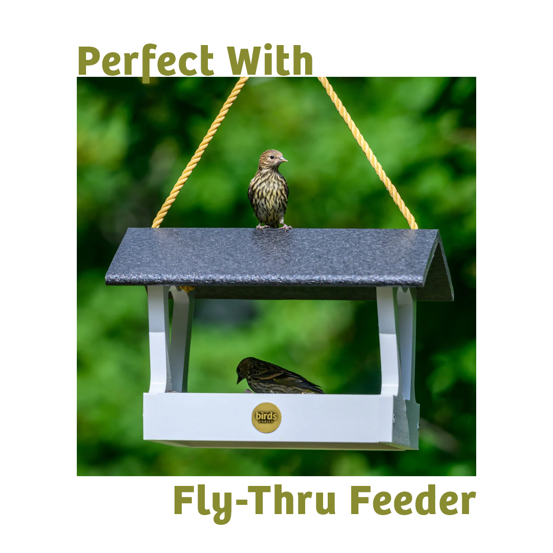 Waste-Not Wild Bird Food - 10 lbs. - Birds Choice