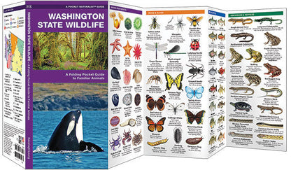 Washington State Wildlife Pocket Guide