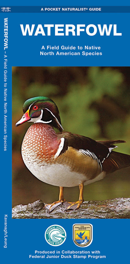 Waterfowl Pocket Guide