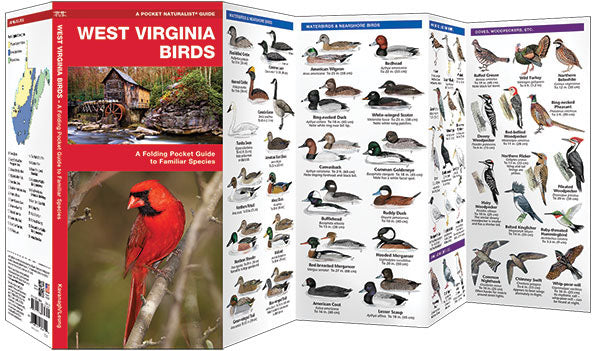 West Virginia Birds Pocket Guide