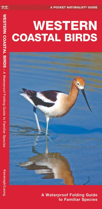 Western Coastal Birds Pocket Guide