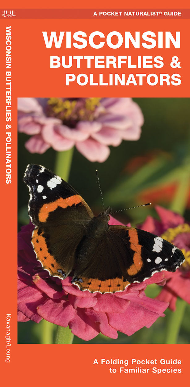 Wisconsin Butterflies & Pollinators Pocket Guide