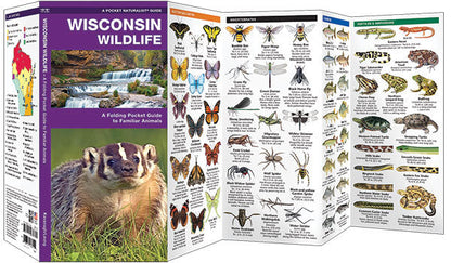 Wisconsin Wildlife Pocket Guide