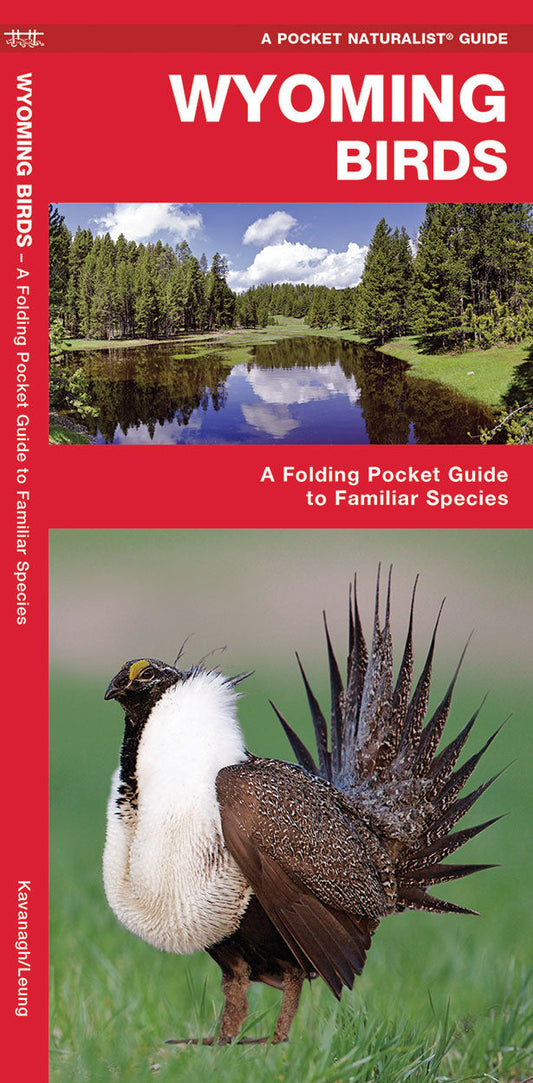 Wyoming Birds Pocket Guide