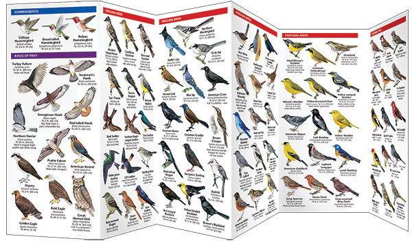 Wyoming Birds Pocket Guide