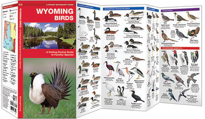 Wyoming Birds Pocket Guide