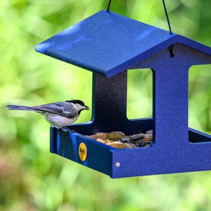 Recycled Plastic Fly-Thru Feeder in Blue