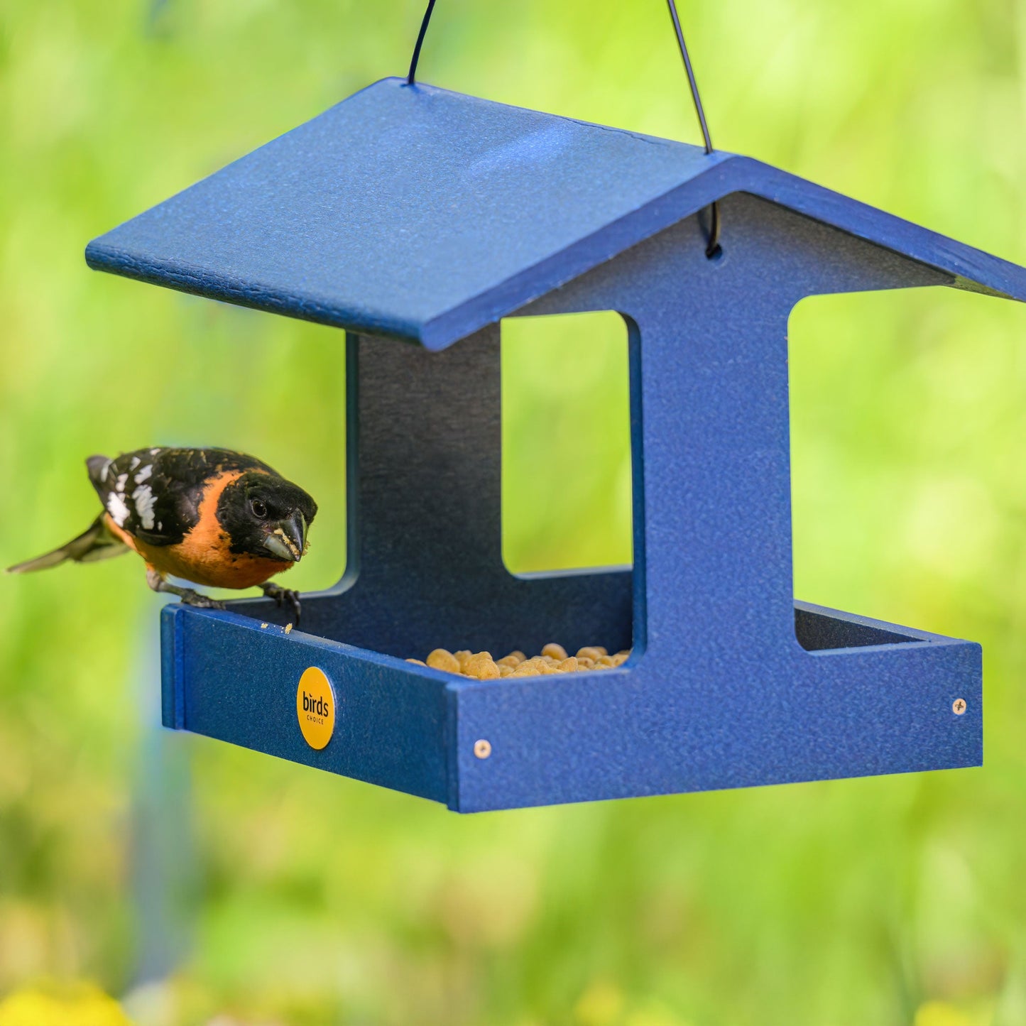 Recycled Plastic Fly-Thru Feeder in Blue