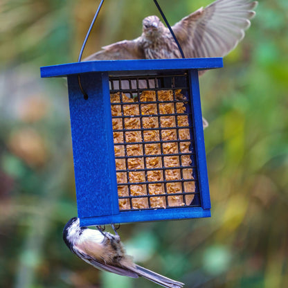 Recycled Plastic Suet Feeder in Blue