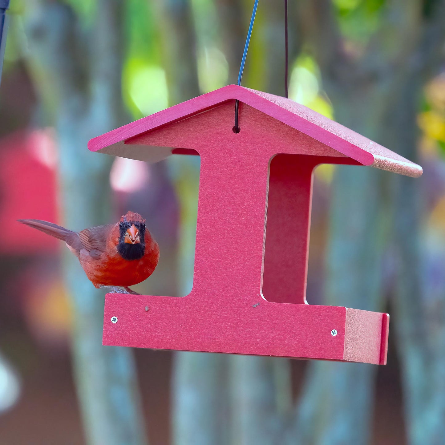 Recycled Plastic Fly-Thru Feeder in Red