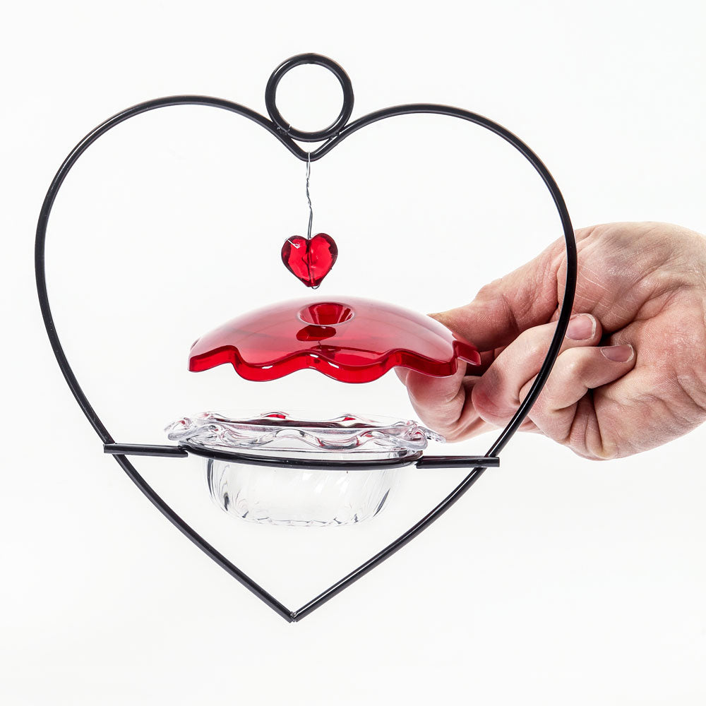 Hummingbird Feeder Heart Shape for Nectar - Birds Choice