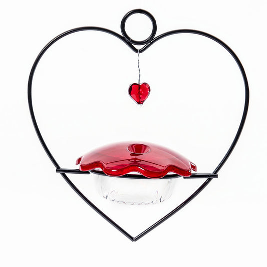 Hummingbird Feeder Heart Shape for Nectar - Birds Choice