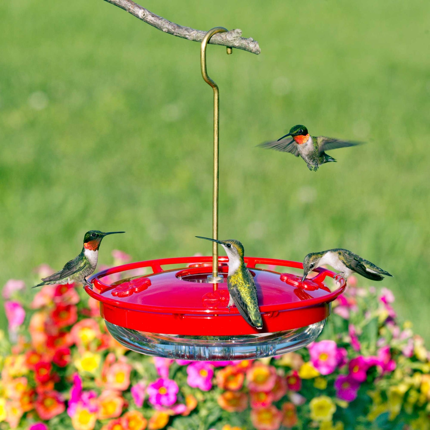 Hummzinger - HighView 12 oz. Hanging Hummingbird Feeder