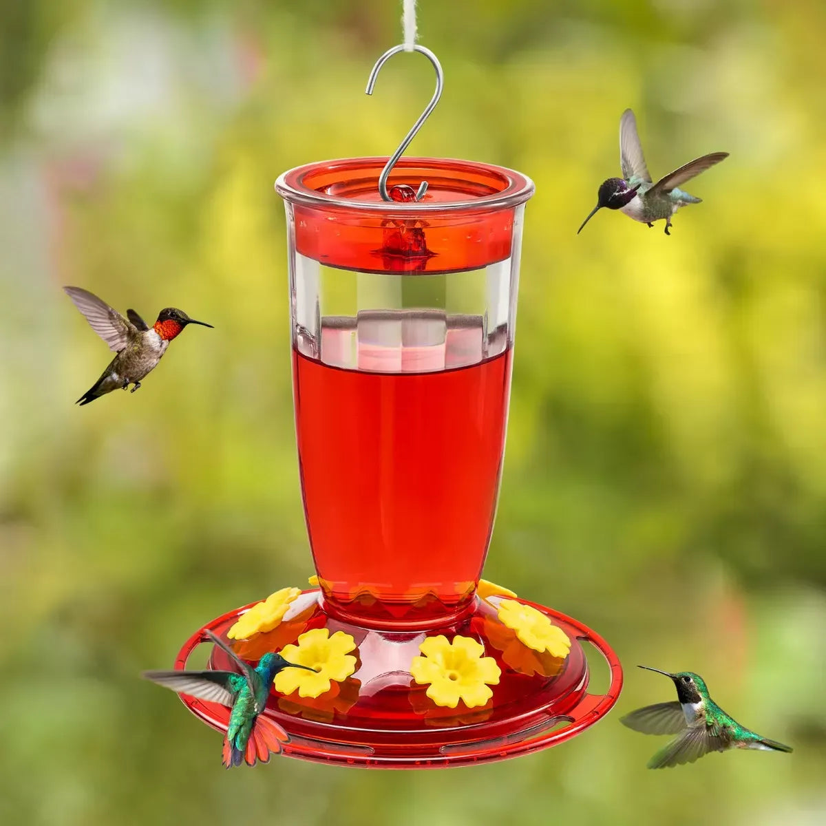 Kingsyard 16oz Plastic Hummingbird Feeder with Bee & Ant Proof