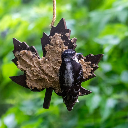 Leaf Shaped Spreadable Suet Feeder