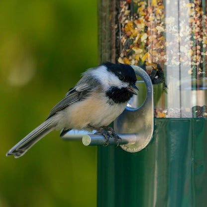 Squirrel Proof Classic Bird Feeder with Pole and Squirrel Baffle