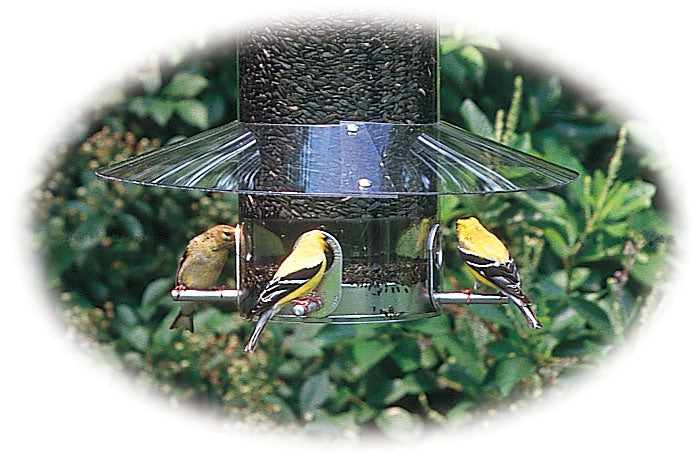 Classic Bird Feeder Baffle/Weatherguard Replacement - Birds Choice