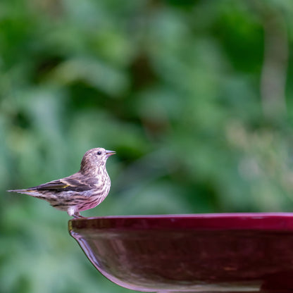 Ohio Stoneware Bird Bath in Burgundy Made in USA