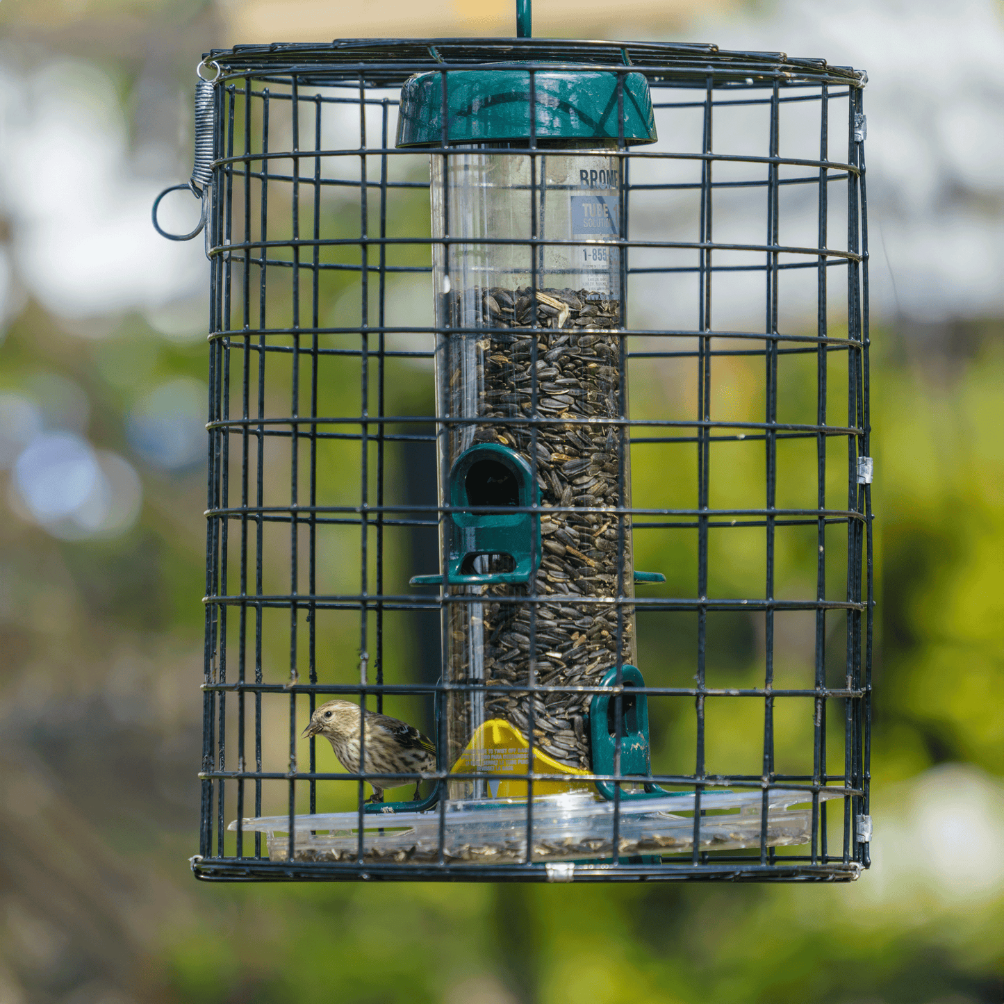 Squirrel-Proof Tube Feeder with Cage & Seed Tray