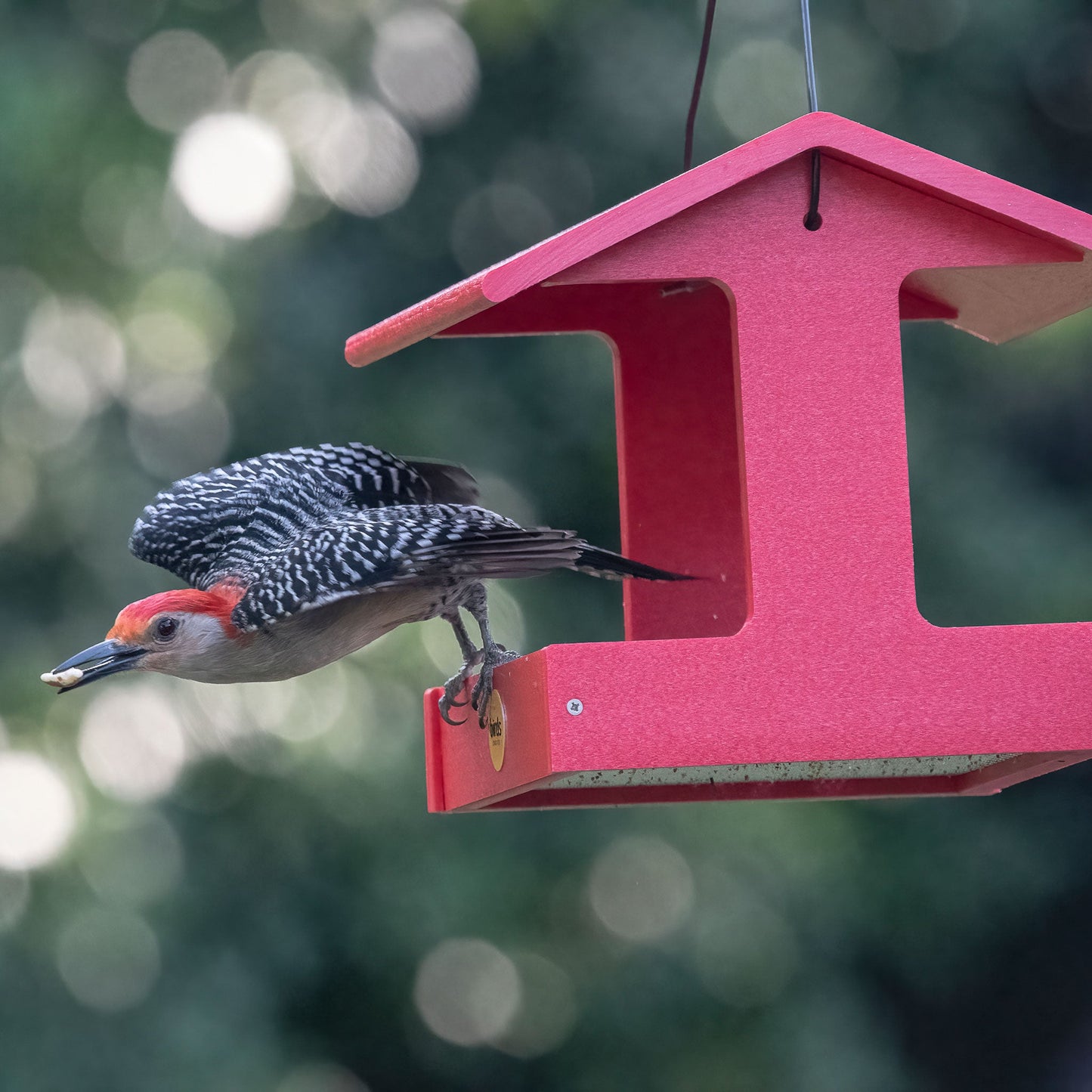 Recycled Plastic Fly-Thru Feeder in Red