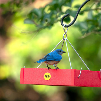 Small Hanging Tray Bird Feeder in Red Recycled Plastic