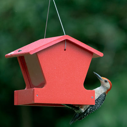 Small Hopper Feeder in Red Recycled Plastic