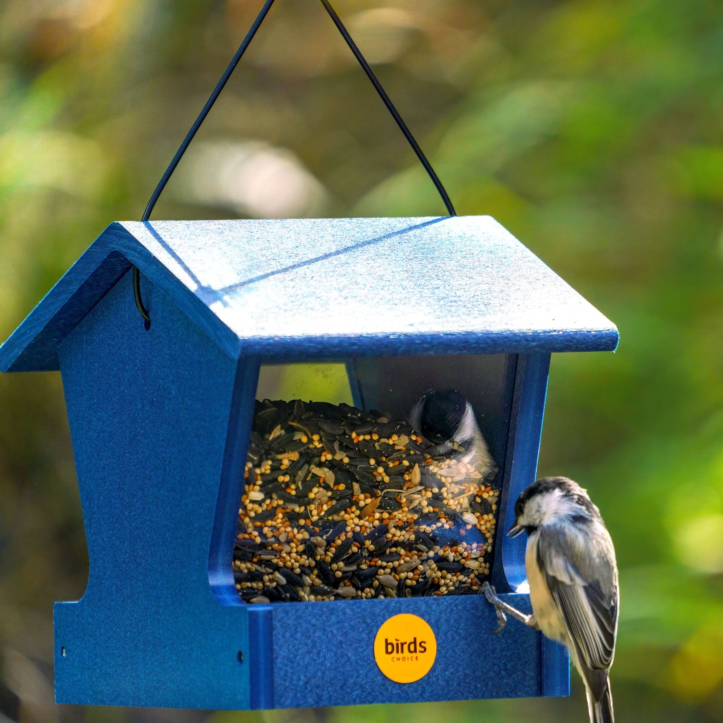 Small Hopper Feeder in Blue Recycled Plastic