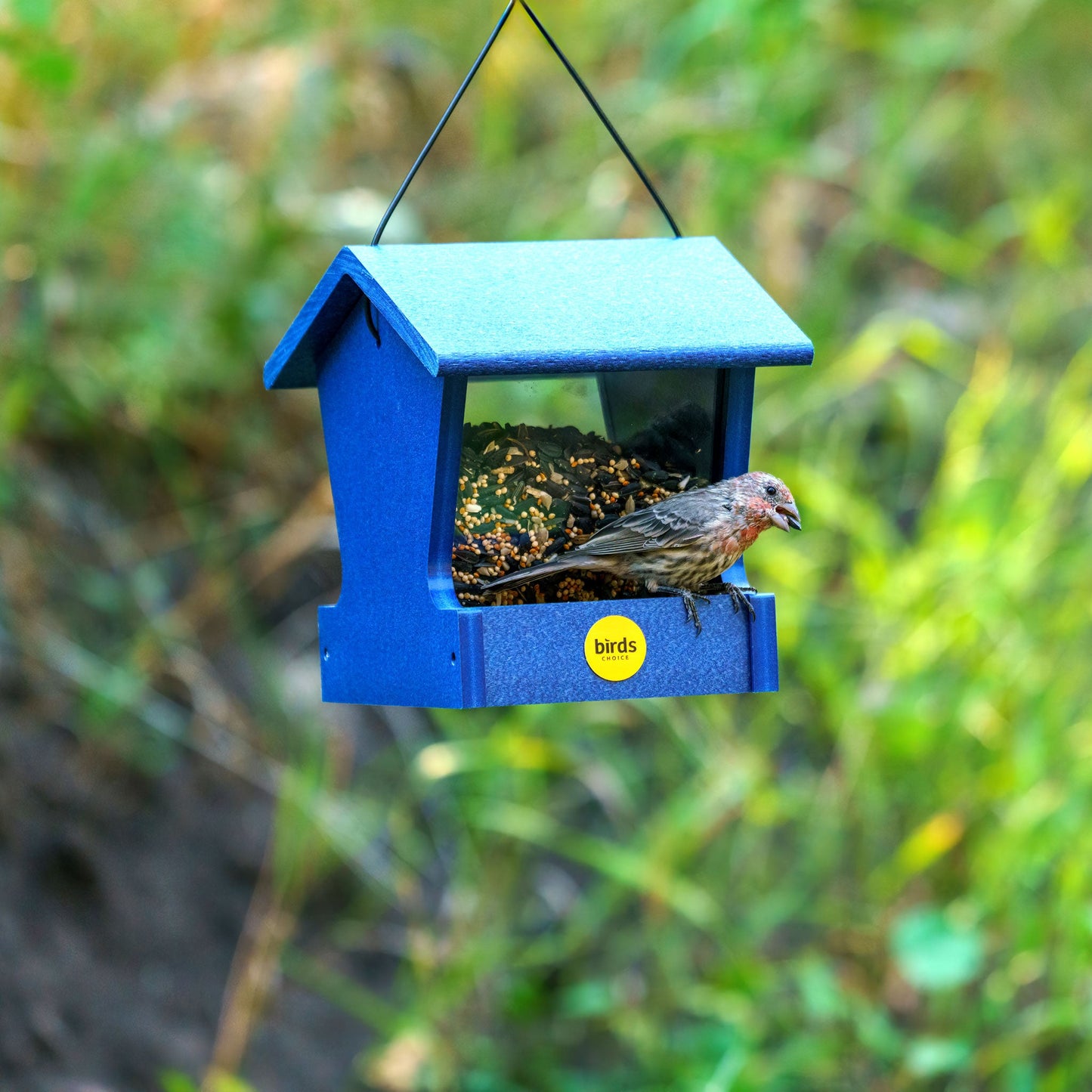 Small Hopper Feeder in Blue Recycled Plastic