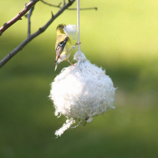 WBU Nest Builder - Birds Choice