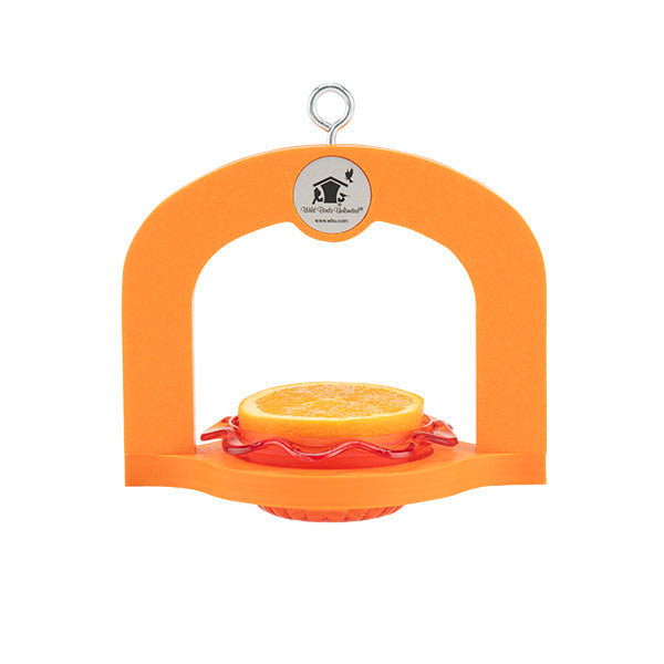 Oriole Mini Trio 1 Cup Hanging Feeder in Orange - Birds Choice