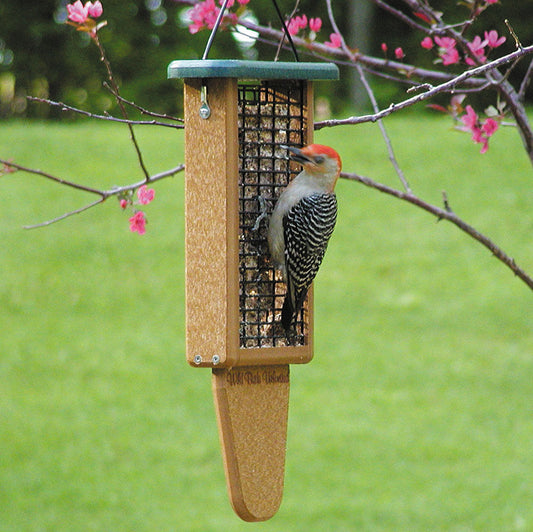 EcoTough Double Tail Prop Suet Feeder - Birds Choice