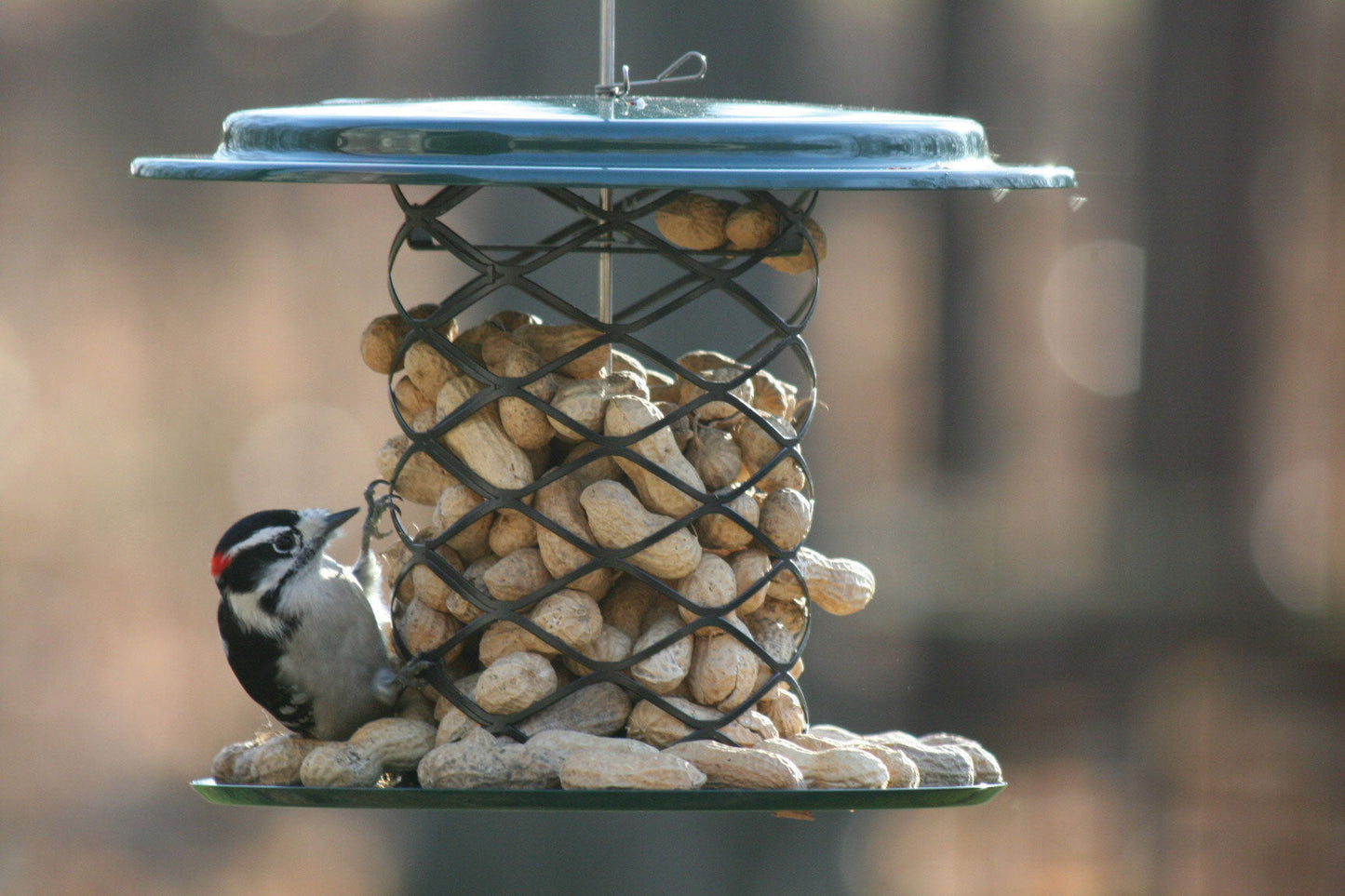 Magnet Mesh Bird Feeder for Whole Peanuts in the Shell - Birds Choice