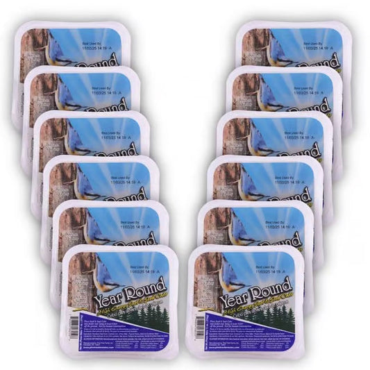 Pine Tree Year Round Hi-Energy Suet Cake - Case of 12 - Birds Choice